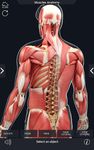 Скриншот 12 APK-версии My Muscle Anatomy