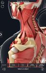 Скриншот 10 APK-версии My Muscle Anatomy