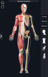 Скриншот 8 APK-версии My Muscle Anatomy