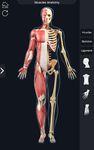 My Muscle Anatomy ekran görüntüsü APK 8