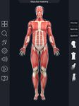 My Muscle Anatomy ekran görüntüsü APK 7