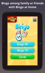 Bingo at Home のスクリーンショットapk 3