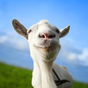 Goat Simulator Free icon