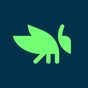 Icône apk Grasshopper: Learn to Code for Free