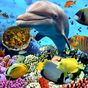 APK-иконка Aquarium Fish Live Wallpaper 2018