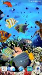 Картинка 1 Aquarium Fish Live Wallpaper 2018