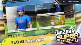 Virat Super Cricket ảnh số 5