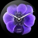 Looks Android Wear Watch Faces Screenshot APK 7