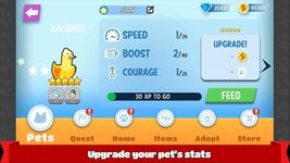 Pets Race - Fun Multiplayer PvP Online Racing Game image 17