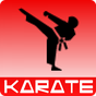 Entrenamiento de Karate APK
