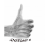 Radiographic Anatomy X-Ray APK