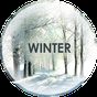 Winter wallpapers Icon