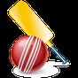 Shaam TV Live Cricket updates apk icon