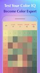 Color Puzzle - Master Color and Hue ekran görüntüsü APK 14