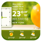 7 Day Weather Forecasts APK