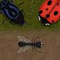 Ant Evolution Simulator : Planet of the tasty bugs