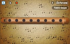 Скриншот  APK-версии Flute Pro