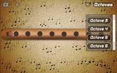 Скриншот 1 APK-версии Flute Pro