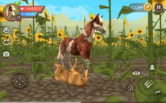 WildCraft: Animal Sim Online 3D ekran görüntüsü APK 12