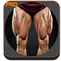 Legs Workout APK