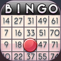 Bingo Infinity apk icono