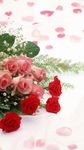 Fond d'écran rose, Floral, Fond de fleurs: Rosely capture d'écran apk 2