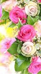 Fond d'écran rose, Floral, Fond de fleurs: Rosely capture d'écran apk 12