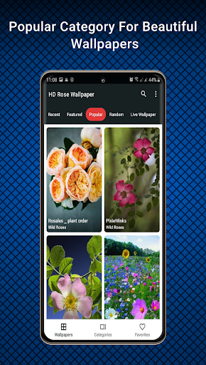 Tải miễn phí APK HD Rose Flowers Live Wallpaper Android
