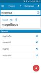 Captură de ecran Dicționar Român-Francez apk 6