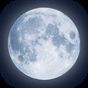 The Moon - Phases Calendar
