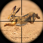 Иконка Охота на кроликов - Снайперские стрелялки