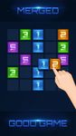 Dominos Puzzle Science style capture d'écran apk 1