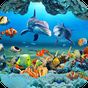 Fish Live Wallpaper 3D Aquarium Background HD  icon