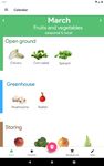 SuperFood - gesunde Rezepte screenshot APK 14