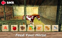 Imagem 5 do Horse Stable: Herd Care Simulator