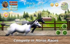 Horse Stable: Herd Care Simulator obrazek 2