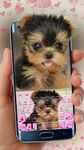 Neues Cute Tongue Cup Puppy Tastatur thema Screenshot APK 1