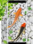 poisson vivre fond d'écran  aquarium koi fond capture d'écran apk 