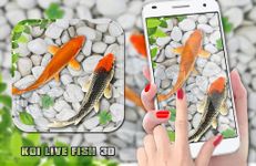 poisson vivre fond d'écran  aquarium koi fond capture d'écran apk 8