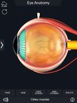 My Eye Anatomy screenshot apk 3