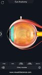 My Eye Anatomy screenshot apk 11