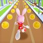 Bunny Run - Bunny Rabbit Game