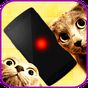 Εικονίδιο του Laser game for cats apk
