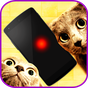 APK-иконка Лазерная игра для кошек