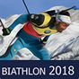 Icône de Biathlon Manager 2018