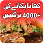 Εικονίδιο του pakistani food recipes - chicken Recipes