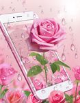 Elegantes Rosa-Rosen-Thema 3D Bild 4