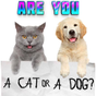 APK-иконка Тест какой ты котик или пёсик. Твой питомец