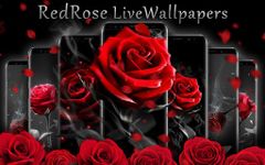 3D wahre Liebe rote Rose Thema Bild 3