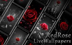 3D wahre Liebe rote Rose Thema Bild 2